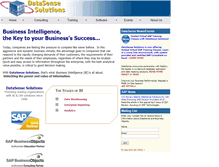 Tablet Screenshot of datasensesolutions.com